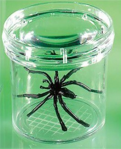 Баночка для изучения насекомых GeoSafari - fgospostavki.ru - Тихорецк