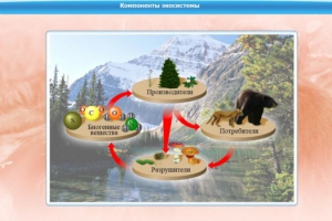 Интерактивные курсы. Биология 7 класс. Базовый. - fgospostavki.ru - Тихорецк