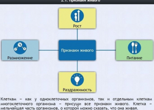 Интерактивные курсы. Биология 5 класс. Базовый - fgospostavki.ru - Тихорецк