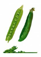 Комплект карточек "Запоминай, играй, считай" -  Овощи - fgospostavki.ru - Тихорецк