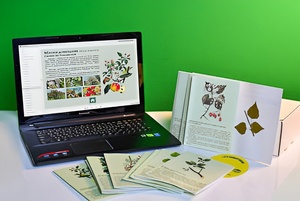 Гербарий натурально-интерактивный "Деревья и кустарники" - fgospostavki.ru - Тихорецк