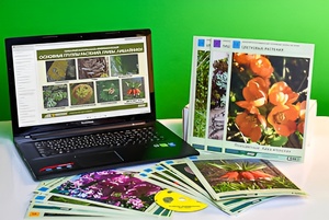 Гербарий натурально-интерактивный "Основные группы растений. Грибы. Лишайники" - fgospostavki.ru - Тихорецк