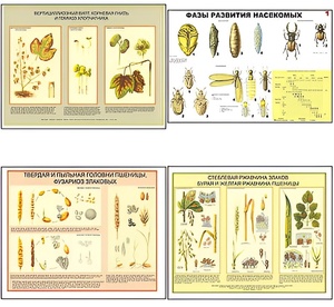 Плакаты ПРОФТЕХ "Вредители и болезни с/х культур и меры борьбы с ними" (11 пл, винил, 70х100) - fgospostavki.ru - Тихорецк