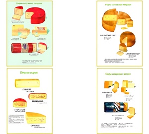 Плакаты ПРОФТЕХ "Ассортимент сыров" (9 пл, винил, 70х100) - fgospostavki.ru - Тихорецк