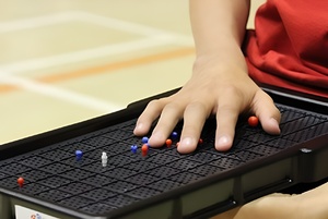 Сетка для игры тактильная (Бочча) - fgospostavki.ru - Тихорецк