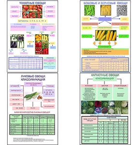 Плакаты ПРОФТЕХ "Классификация овощей" (11 пл, винил, 70х100) - fgospostavki.ru - Тихорецк