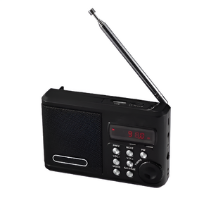 Радиоприемник цифровой с крупными кнопками - fgospostavki.ru - Тихорецк