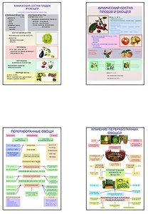Плакаты ПРОФТЕХ "Классификация овощей и переработка" (8 пл, винил, 70х100) - fgospostavki.ru - Тихорецк