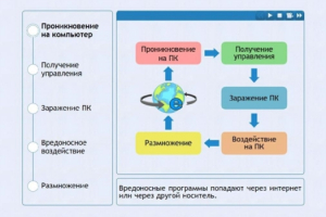 Интерактивные курсы. Информатика 10 класс . Базовый. - fgospostavki.ru - Тихорецк