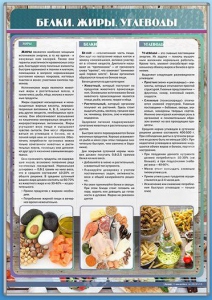 Стенд "Белки. Жиры. Углеводы" - fgospostavki.ru - Тихорецк