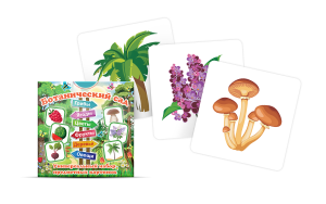 Набор карточек "Ботанический сад" - fgospostavki.ru - Тихорецк