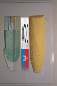 Модель барельефная "Клеточное строение корня" - fgospostavki.ru - Тихорецк