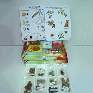 Коллекция "Семена и плоды с раздаточным материалом" - fgospostavki.ru - Тихорецк