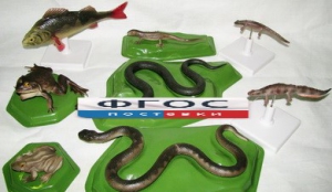 Комплект моделей "Позвоночные животные" (8 штук) - fgospostavki.ru - Тихорецк