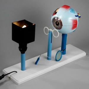 Модель "Зрение" (электрическая) - fgospostavki.ru - Тихорецк