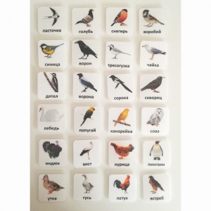 Набор карточек "ПТИЦЫ" - fgospostavki.ru - Тихорецк