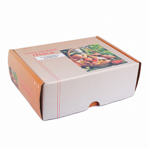 Набор муляжей грибов съедобных и ядовитых - fgospostavki.ru - Тихорецк