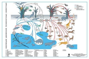 Комплект таблиц "Эволюция движений позвоночных животных" - fgospostavki.ru - Тихорецк