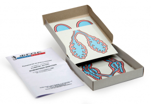 Модель-аппликация "Развитие легких позвоночных животных" (набор из 5 карт) - fgospostavki.ru - Тихорецк