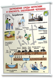 Плакаты по общей экологии для оформления кабинета. - fgospostavki.ru - Тихорецк