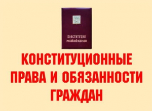 Комплект плакатов "Конституционные права и обязанности граждан" - fgospostavki.ru - Тихорецк