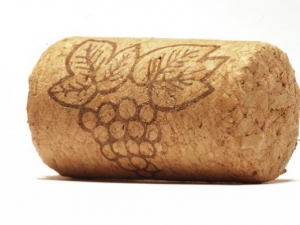 Роторасширитель Пробка - fgospostavki.ru - Тихорецк