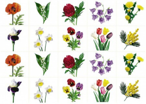 Комплект карточек "Запоминай, играй, считай" - Цветы - fgospostavki.ru - Тихорецк