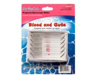 Набор микропрепаратов для микроскопа №1 «Человек» - fgospostavki.ru - Тихорецк