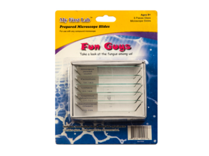 Набор микропрепаратов для микроскопа №8 «Грибы» - fgospostavki.ru - Тихорецк