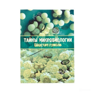 Набор «Тайны микробиологии» (Царство грибов) - fgospostavki.ru - Тихорецк