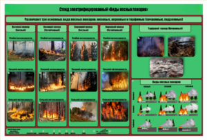 Стенд-планшет электрифицированный «Виды лесных пожаров»  - fgospostavki.ru - Тихорецк