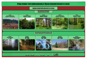 Стенд-планшет электрифицированный «Оценка пожарной опасности в лесах»  - fgospostavki.ru - Тихорецк