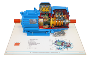 Стенд-планшет «Асинхронный двигатель с фазным ротором» - fgospostavki.ru - Тихорецк