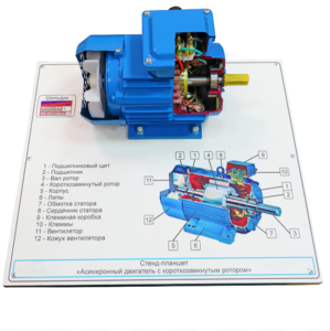Стенд-планшет «Асинхронный двигатель с короткозамкнутым ротором» - fgospostavki.ru - Тихорецк