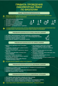 Стенд "Правила выполнения лабораторных работ по биологии" Вариант 1 - fgospostavki.ru - Тихорецк
