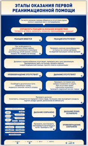 Электрифицированный стенд-тренажер "Этапы оказания первой реанимационной помощи" - fgospostavki.ru - Тихорецк