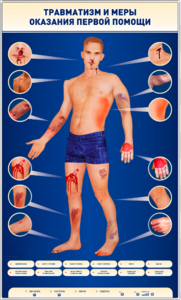 Электрифицированный стенд-тренажер "Травматизм и меры оказания первой помощи" - fgospostavki.ru - Тихорецк