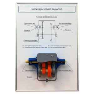 Плакат планшет с демонстрационной моделью «Цилиндрический редуктор» - fgospostavki.ru - Тихорецк