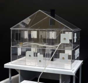 Лабораторная установка для исследования распространения дыма в жилых помещениях - fgospostavki.ru - Тихорецк