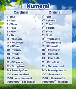 Стенд "Нумерация" - fgospostavki.ru - Тихорецк