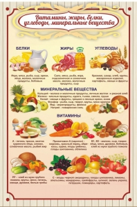 Стенд "Витамины, жиры, белки" - fgospostavki.ru - Тихорецк