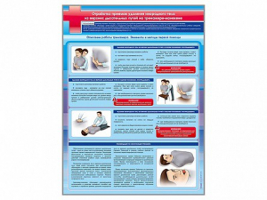 Стенд "Отработка приемов удаления инородного тела из верхних дыхательных путей на тренажере-манекене" - fgospostavki.ru - Тихорецк