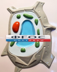 Модель барельефная "Растительная клетка" - fgospostavki.ru - Тихорецк