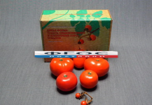 Набор муляжей "Дикая форма и культурные сорта томатов" - fgospostavki.ru - Тихорецк