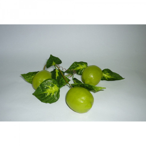 Ветка муляжей "Лайм" - fgospostavki.ru - Тихорецк