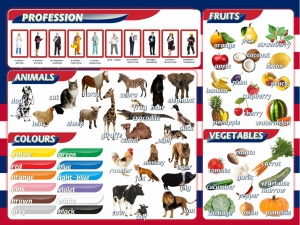 Стенд "Цвета, животные, профессии, фрукты, овощи" - fgospostavki.ru - Тихорецк