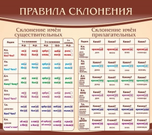 Стенд "Правила склонения" - fgospostavki.ru - Тихорецк
