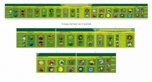 Стенд "Классификация растений" - fgospostavki.ru - Тихорецк