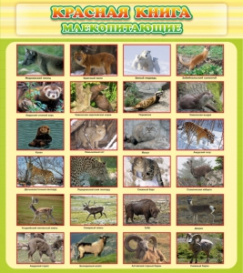 Стенд "Красная книга - млекопитающие" - fgospostavki.ru - Тихорецк