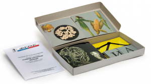 Модель-аппликация "Основные направления эволюции" (набор из 33 карт) - fgospostavki.ru - Тихорецк